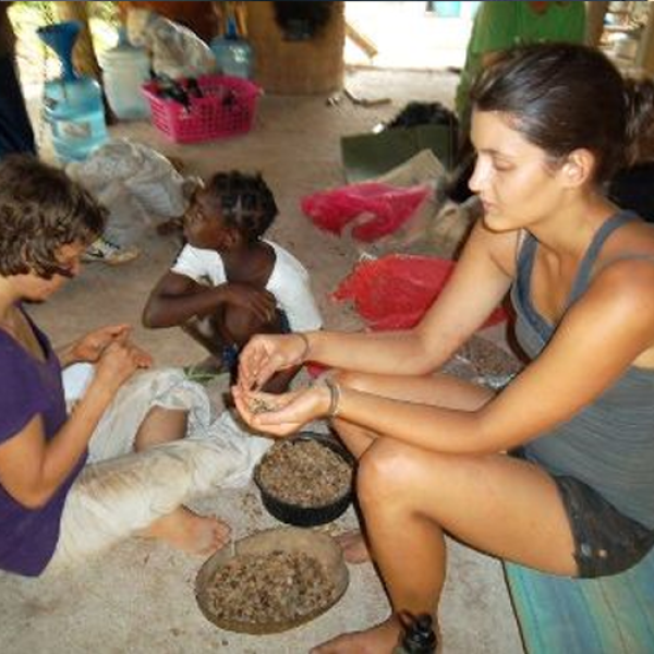 GLBL student sorting tree seeds